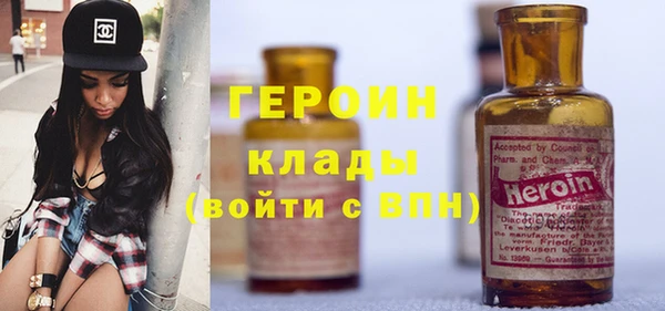 гашик Ельня