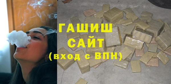 гашик Ельня