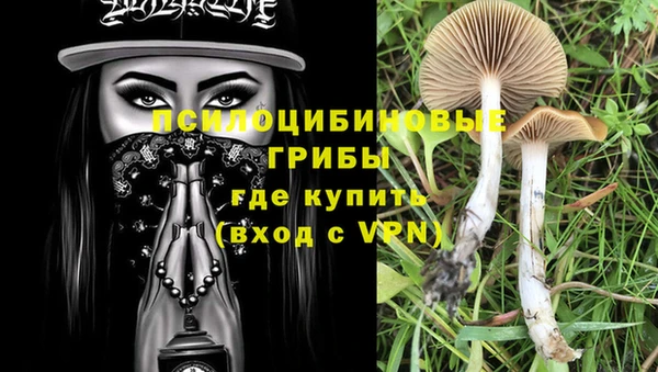 гашик Ельня