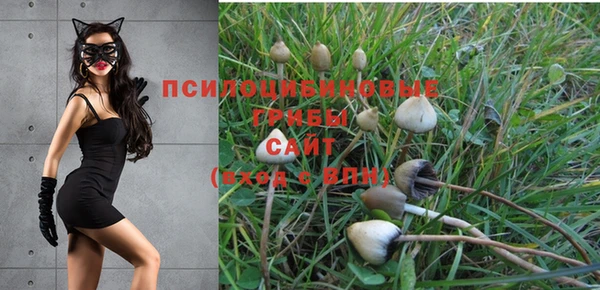 амф Елабуга