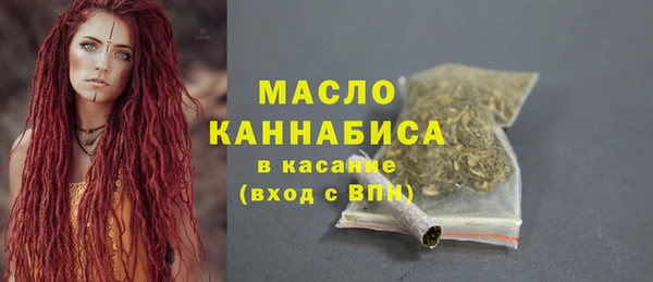гашик Ельня
