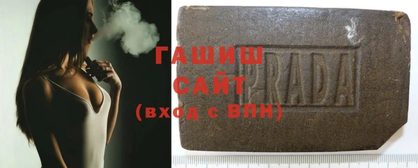 гашик Ельня