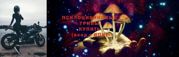 гашик Ельня