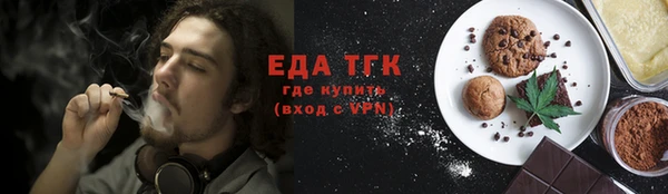 гашик Ельня