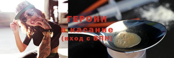 гашик Ельня