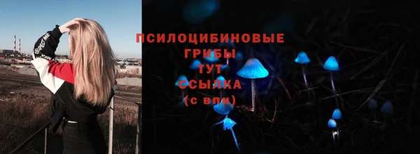 амф Елабуга