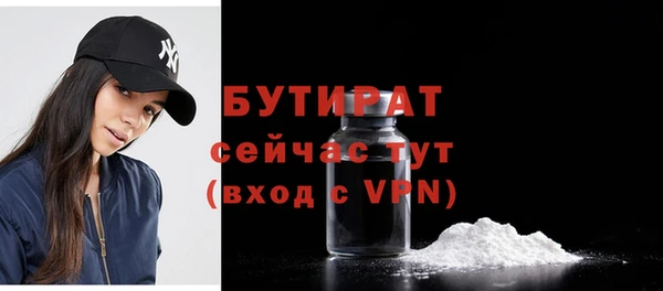 гашик Ельня