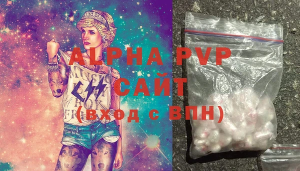 гашик Ельня