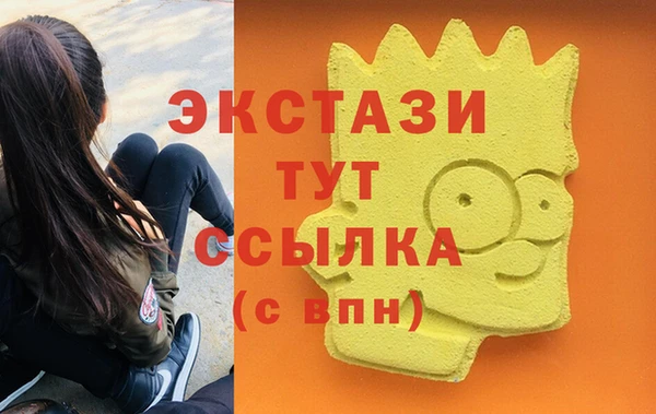 гашик Ельня