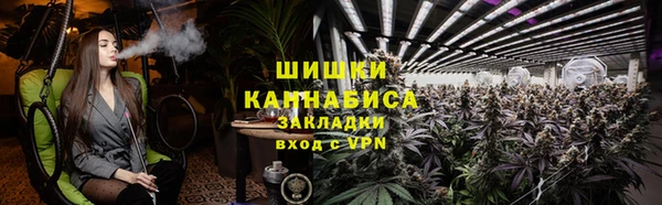 амф Елабуга