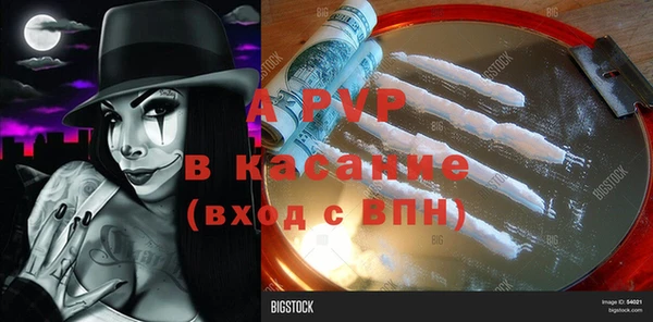 гашик Ельня