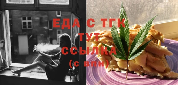гашик Ельня